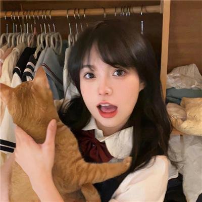 大使阁下的料理人