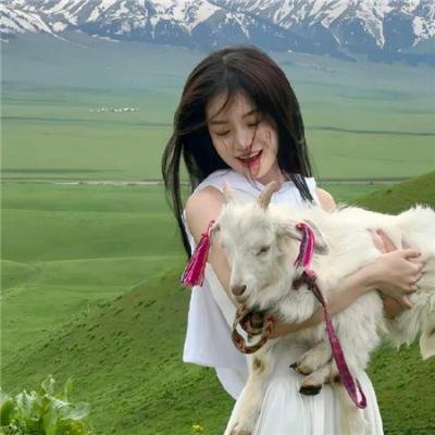 法网追凶第二季